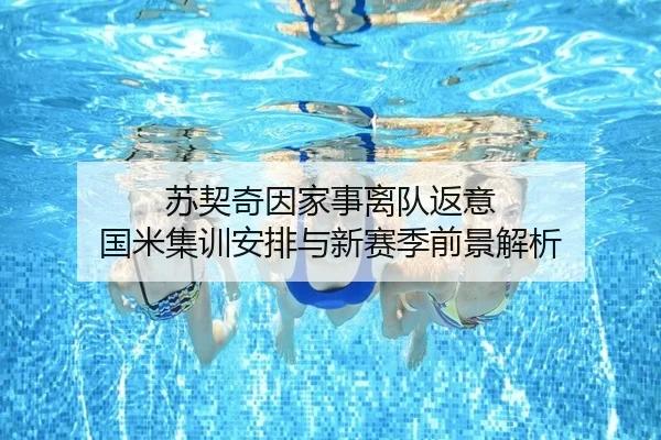 苏契奇因家事离队返意 国米集训安排与新赛季前景解析