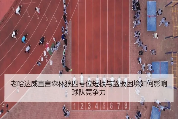 老哈达威直言森林狼四号位短板与篮板困境如何影响球队竞争力